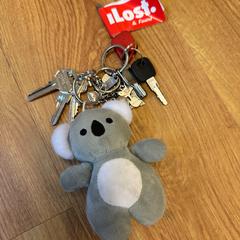 Keychain, as reported by The Metropolitan Museum of Art using iLost